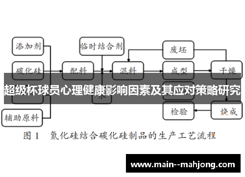超级杯球员心理健康影响因素及其应对策略研究