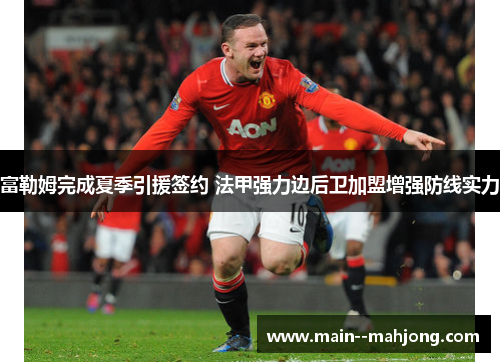 富勒姆完成夏季引援签约 法甲强力边后卫加盟增强防线实力