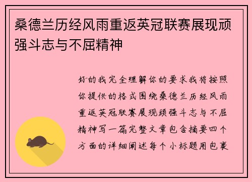 桑德兰历经风雨重返英冠联赛展现顽强斗志与不屈精神